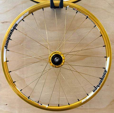 Dangerboy Expert Wheelset 28h Gold